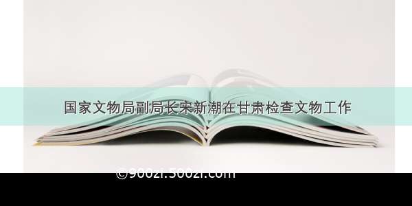 国家文物局副局长宋新潮在甘肃检查文物工作