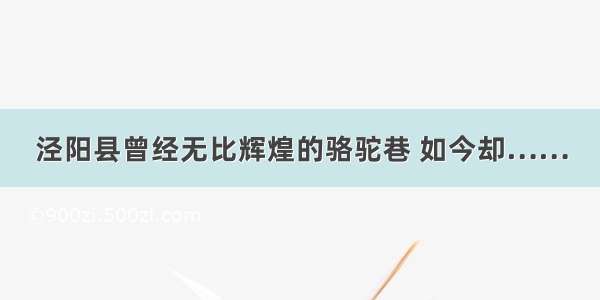 泾阳县曾经无比辉煌的骆驼巷 如今却……