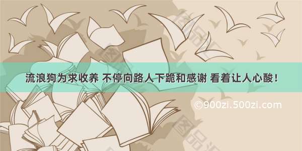 流浪狗为求收养 不停向路人下跪和感谢 看着让人心酸！