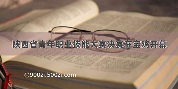 陕西省青年职业技能大赛决赛在宝鸡开幕