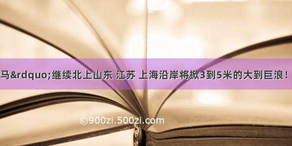 台风“利奇马”继续北上山东 江苏 上海沿岸将掀3到5米的大到巨浪！山东省潍坊市风暴