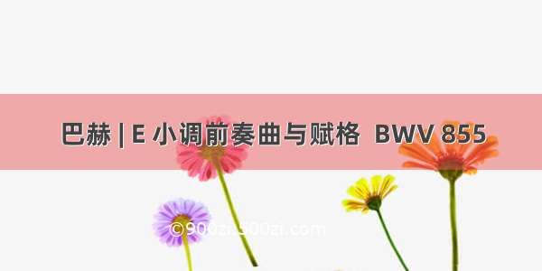 巴赫 | E 小调前奏曲与赋格  BWV 855