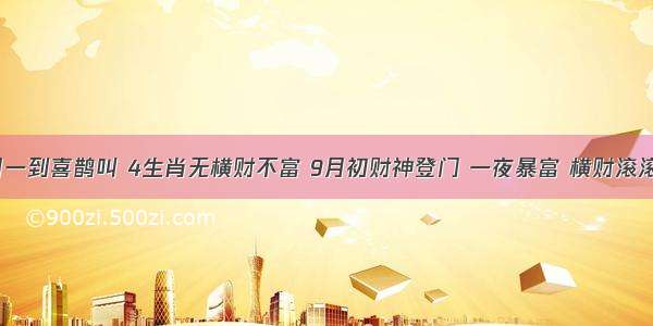 9月一到喜鹊叫 4生肖无横财不富 9月初财神登门 一夜暴富 横财滚滚来