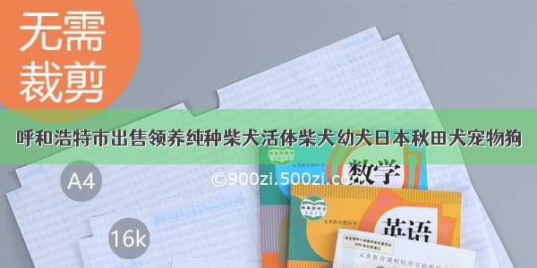 呼和浩特市出售领养纯种柴犬活体柴犬幼犬日本秋田犬宠物狗