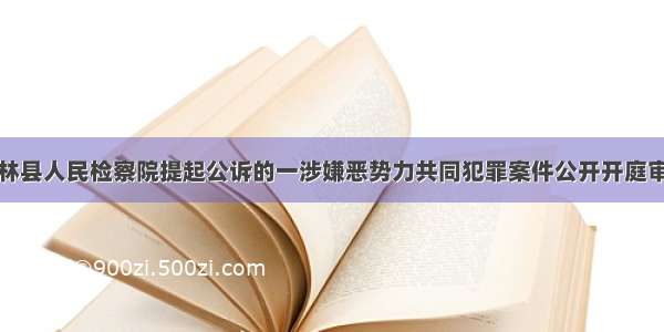 米林县人民检察院提起公诉的一涉嫌恶势力共同犯罪案件公开开庭审理