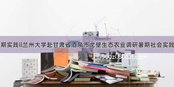 暑期实践ll兰州大学赴甘肃省酒泉市戈壁生态农业调研暑期社会实践团