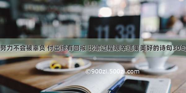 努力不会被辜负 付出终有回报 比喻过程艰辛结果美好的诗句30句