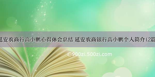 延安农商行高小鹏心得体会总结 延安农商银行高小鹏个人简介(2篇)