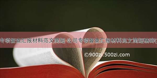 公司专项督查汇报材料范文简短 公司专项督查汇报材料范文简短精辟(二篇)