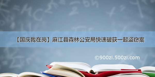 【国庆我在岗】麻江县森林公安局快速破获一起盗窃案