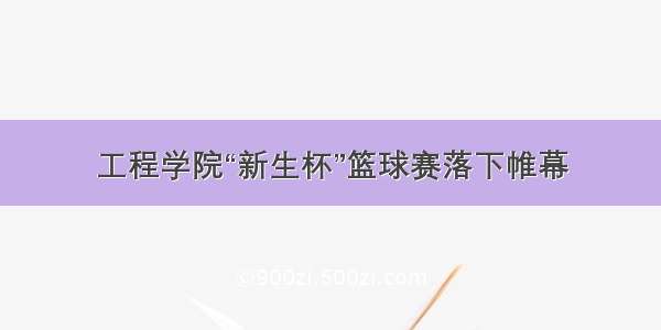 工程学院“新生杯”篮球赛落下帷幕