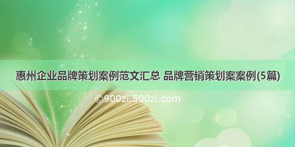 惠州企业品牌策划案例范文汇总 品牌营销策划案案例(5篇)