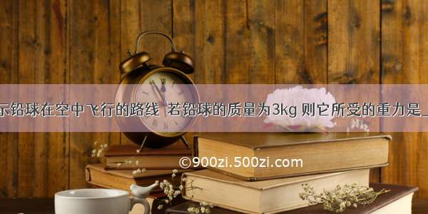 图中虚线表示铅球在空中飞行的路线．若铅球的质量为3kg 则它所受的重力是________N．