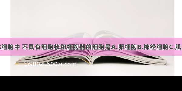 单选题人体细胞中 不具有细胞核和细胞器的细胞是A.卵细胞B.神经细胞C.肌肉细胞D.成