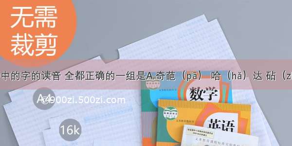 下列词语中的字的读音 全都正确的一组是A.奇葩（pā） 哈（hǎ）达 砧（zhān）板  