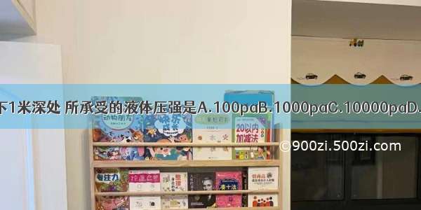 一人潜至水下1米深处 所承受的液体压强是A.100paB.1000paC.10000paD.100000pa