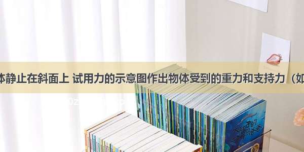 一个物体静止在斜面上 试用力的示意图作出物体受到的重力和支持力（如图所示）