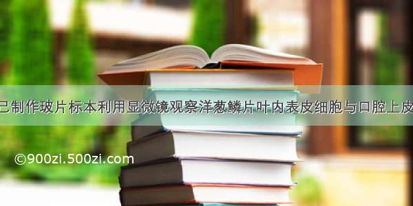 陈林同学自己制作玻片标本利用显微镜观察洋葱鳞片叶内表皮细胞与口腔上皮细胞 请根据