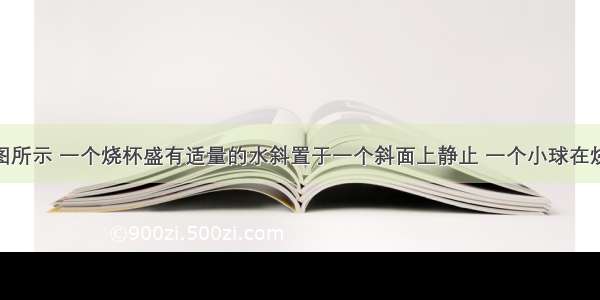 （1）如图所示 一个烧杯盛有适量的水斜置于一个斜面上静止 一个小球在烧杯中悬浮 