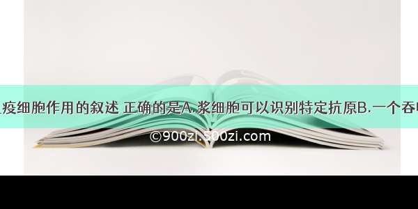 单选题有关免疫细胞作用的叙述 正确的是A.浆细胞可以识别特定抗原B.一个吞噬细胞可以处