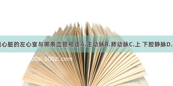 单选题心脏的左心室与哪条血管相连A.主动脉B.肺动脉C.上 下腔静脉D.肺静脉