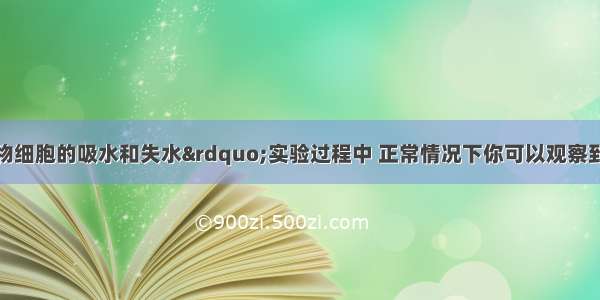 在“观察植物细胞的吸水和失水”实验过程中 正常情况下你可以观察到紫色洋葱表皮细胞