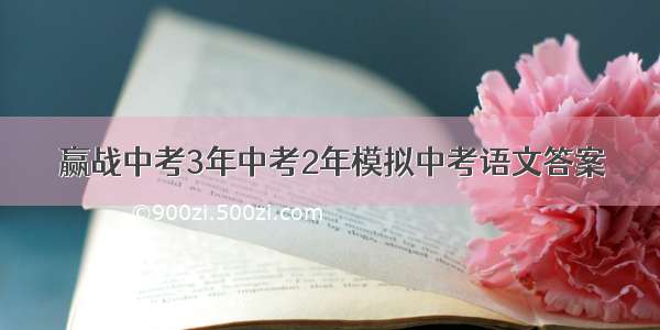 赢战中考3年中考2年模拟中考语文答案