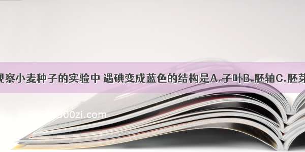 单选题观察小麦种子的实验中 遇碘变成蓝色的结构是A.子叶B.胚轴C.胚芽D.胚乳