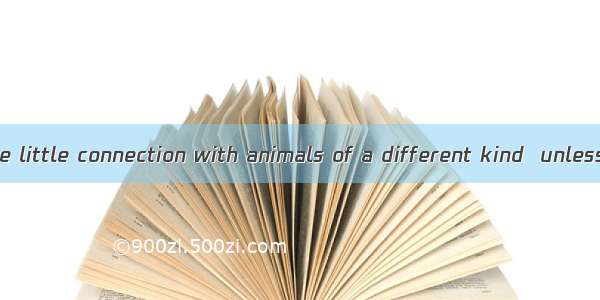 Most animals have little connection with animals of a different kind  unless they hunt the