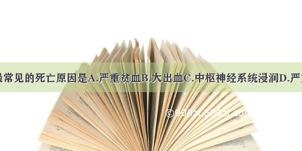 急性白血病最常见的死亡原因是A.严重贫血B.大出血C.中枢神经系统浸润D.严重感染E.肝功