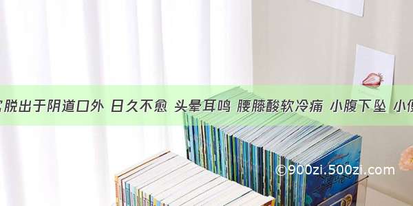 患者子宫脱出于阴道口外 日久不愈 头晕耳鸣 腰膝酸软冷痛 小腹下坠 小便频数 入