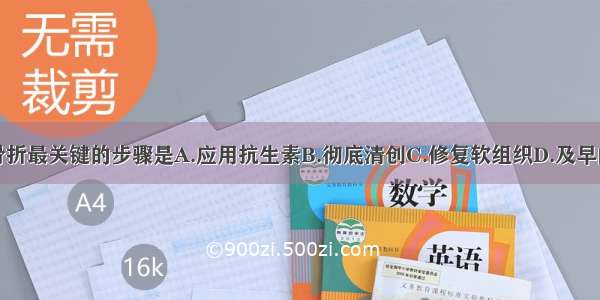 处理开放性骨折最关键的步骤是A.应用抗生素B.彻底清创C.修复软组织D.及早闭合伤口E.固