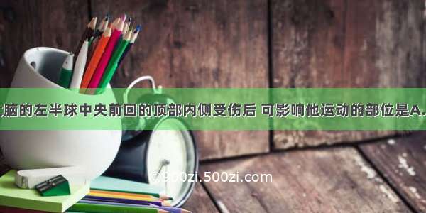 单选题某人大脑的左半球中央前回的顶部内侧受伤后 可影响他运动的部位是A.面部运动B.左