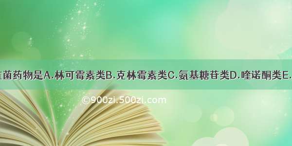 易致耳毒性的抗菌药物是A.林可霉素类B.克林霉素类C.氨基糖苷类D.喹诺酮类E.磺胺类ABCDE