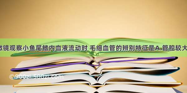 单选题用显微镜观察小鱼尾鳍内血液流动时 毛细血管的辨别特征是A.管腔较大B.管壁较厚C
