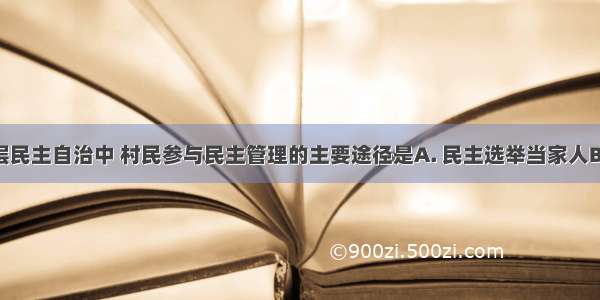 在农村基层民主自治中 村民参与民主管理的主要途径是A. 民主选举当家人B. 通过村民