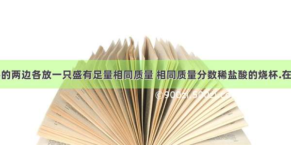 在托盘天平的两边各放一只盛有足量相同质量 相同质量分数稀盐酸的烧杯.在托盘天平的