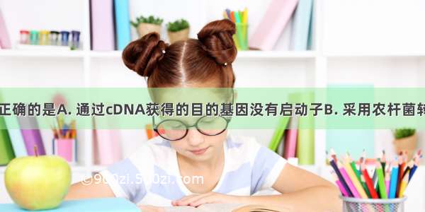 下列说法不正确的是A. 通过cDNA获得的目的基因没有启动子B. 采用农杆菌转化法不能将