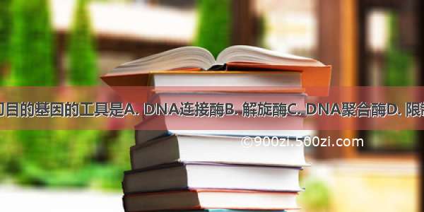 基因工程中剪切目的基因的工具是A. DNA连接酶B. 解旋酶C. DNA聚合酶D. 限制性核酸内切酶
