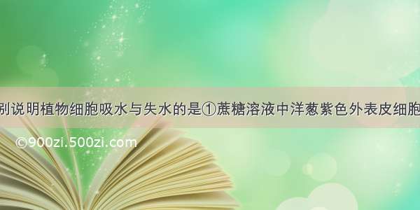 下列可以分别说明植物细胞吸水与失水的是①蔗糖溶液中洋葱紫色外表皮细胞液泡变小 清