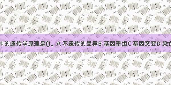 诱变育种的遗传学原理是()。A 不遗传的变异B 基因重组C 基因突变D 染色体变异