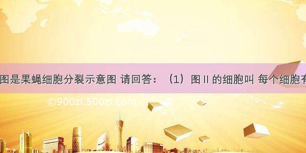 （8分）下图是果蝇细胞分裂示意图 请回答：（1）图Ⅱ的细胞叫 每个细胞有　对同源染