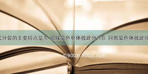 减数第一次分裂的主要特点是A. 姐妹染色单体彼此分开B. 同源染色体彼此分开C. 染色