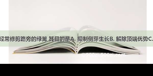 园林工人经常修剪路旁的绿篱 其目的是A. 抑制侧芽生长B. 解除顶端优势C. 抑制向光