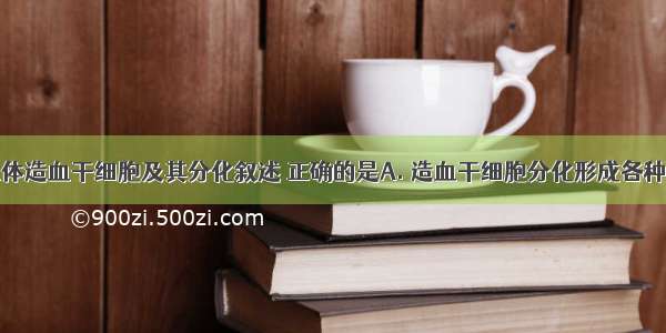 下列关于人体造血干细胞及其分化叙述 正确的是A. 造血干细胞分化形成各种血细胞过程