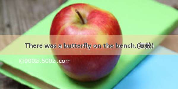 There was a butterfly on the bench.(复数）