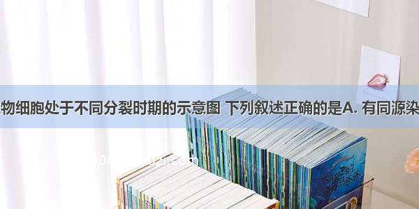 下图为某生物细胞处于不同分裂时期的示意图 下列叙述正确的是A. 有同源染色体的细胞