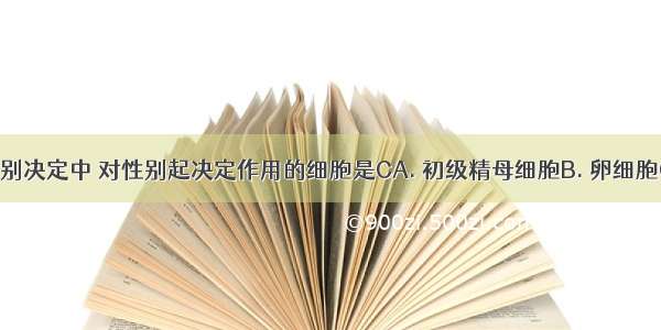 在XY型性别决定中 对性别起决定作用的细胞是CA. 初级精母细胞B. 卵细胞C. 精子D.