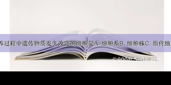 在动物细胞培养过程中遗传物质发生改变的细胞是A. 细胞系B. 细胞株C. 原代细胞D. 传代细胞