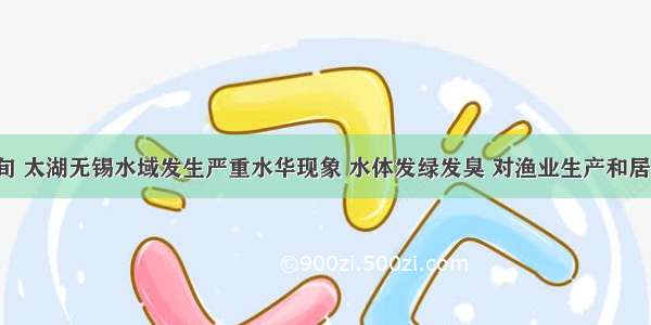 5月下旬 太湖无锡水域发生严重水华现象 水体发绿发臭 对渔业生产和居民生活